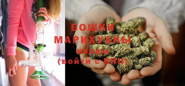 гидра Армянск
