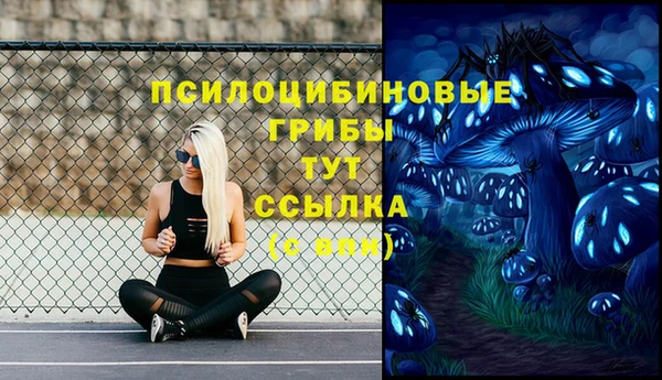 гидра Армянск