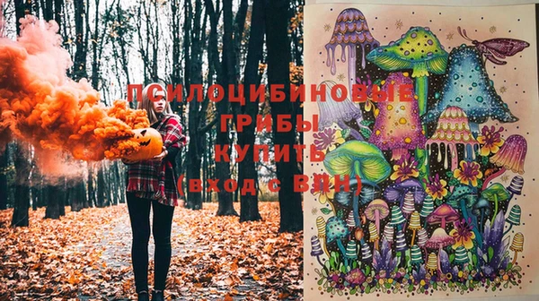спайс Аркадак