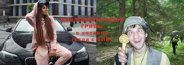 герыч Арсеньев